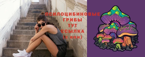крисы Надым
