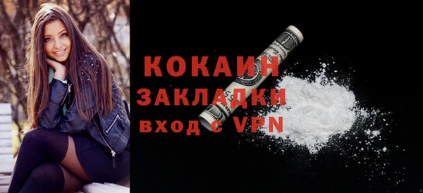 индика Михайлов