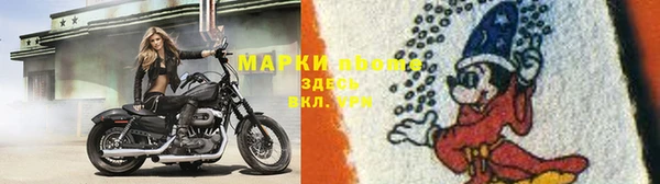 индика Михайлов