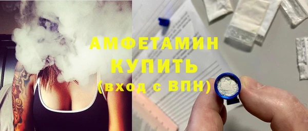 крисы Надым