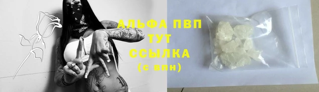 шишки Михайловск