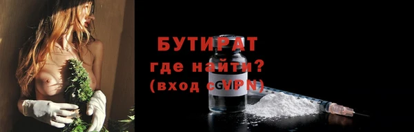 шишки Михайловск