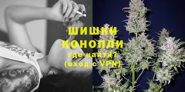 крисы Надым