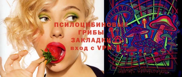 крисы Надым