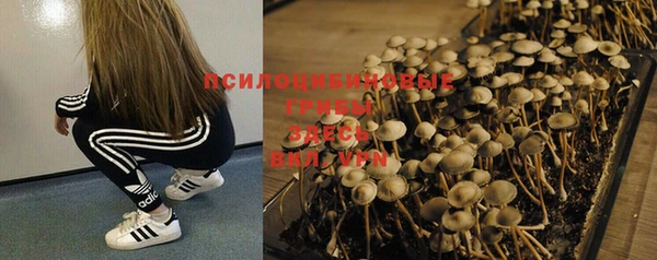 индика Михайлов