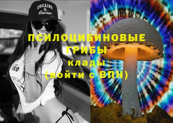 крисы Надым