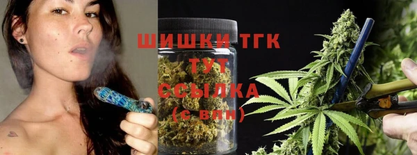 шишки Михайловск
